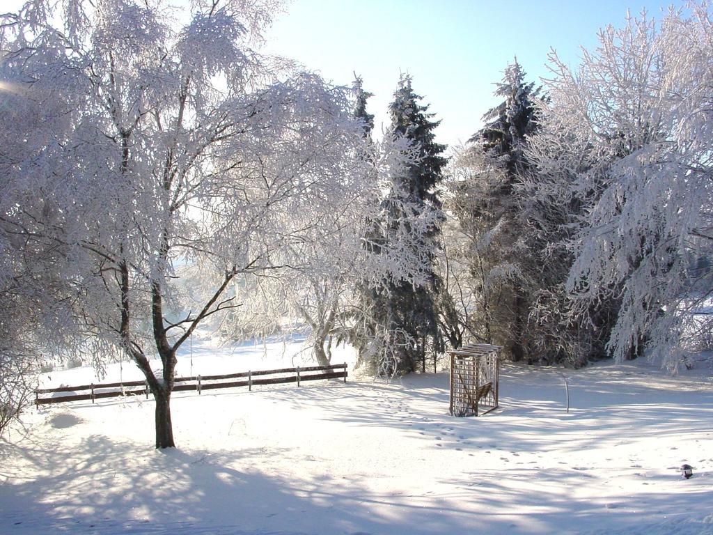 Fewo Holms Winterberg Kamer foto